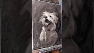 Oil painting by Marcelo Rocha. Initial approach. #art #petportraitartist #painting