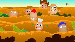 Một Khoai tây Hai Khoai tây bài hát giáo dục | vườn ươm vần | Kids Songs | One Potato Two Potatoes