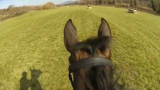 HEADCAM - Creevagh Cooley's Cross Country at CCI4*-L Montelibretti