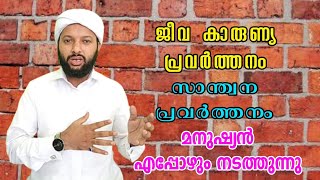 ജീവ കാരുണ്യ പ്രവർത്തനം, സാന്ത്വന പ്രവർത്തനം, മനുഷ്യൻ എപ്പോഴും നടത്തുന്നു | Jeevitham | Goodness Path