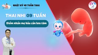 Thai 9 tuần: Điểm nhấn mẹ bầu cần lưu tâm | Sự phát triển của thai nhi tuần thứ 9 | Bs. Lê Hữu Thắng