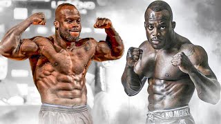 The MOST BRUTAL FIGHTER Ever | The Mike Tyson Of MMA | Melvin Manhoef Knockouts & Highlights