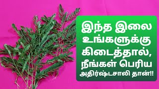 உங்கள் கோடிக்கடனும் காணாமல் போகும்!நோய், பிணி மற்றும் நவகிரக தோஷமும் நீங்கும்!வாழ்க்கை வசந்தமாகும்!!