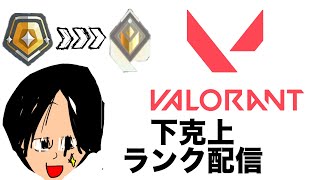 【VALORANT】仲良しフルパランク【顔出し】