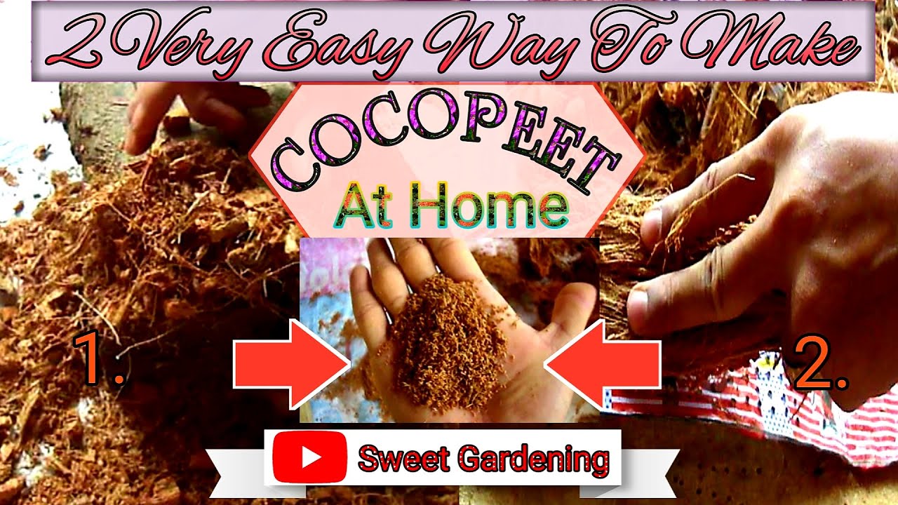 2 Very Easy Way To Make Cocopeet At Home Easily - How To Make Coco Peat ...