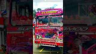 #bus බස්වලට පිස්සුවෙන්  වගේ කැමති ඔයාලට👀👀❤️‍🔥