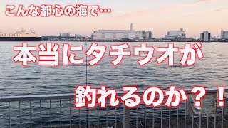 【暁ふ頭公園で釣り】タチウオが釣れてると噂の公園で久々釣行！そしてある事を決めました…《2019年12月1日》