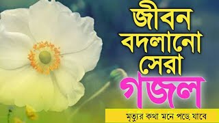 মায়াবী সুরের কবরের গজল//চোখে পানি চলে আসবে//Very Heart Touching Bangla Gojol// ইসলামী কন্ঠ