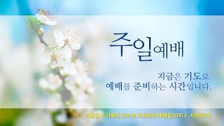 2024.3.3. 예담교회 주일오전 3부예배 LIVE