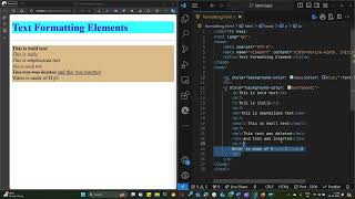 4 - HTML Text Formatting Elements