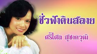 ชั่วฟ้าดินสลาย - ศรีไศล สุชาตวุฒิ ชุดเพลงแห่งความทรงจำ[Official MV\u0026Karaoke]