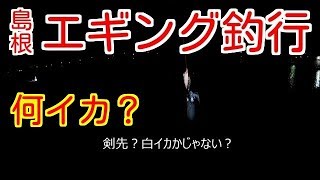 エギング釣行2017/10 山陰島根半島