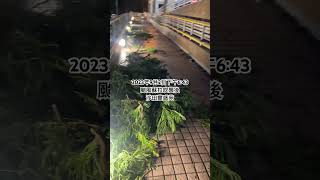 2023年9月2日下午6:43颱風蘇拉吹襲後沙田豐盛苑 after typhoon Saola, Fung Shing Court, Sha Tin