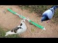 The First Unique Simple Bird Trap Make from 2 Toothbrush - Best bird trap Technology