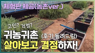 귀농귀촌 고민? 걱정? 이제 살아보고 결정하자! 농촌 살아보기 후기 들려드림!