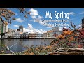 Wallace Seixas- My spring