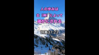 神はあなたを確かに導く！一発であなたを元気にする！聖書の言葉シリーズ【135】#Shorts #聖書