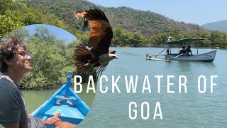 Goa Vlog| Daily Bengali Travel Diary| দক্ষিণ গোয়া ব্যাকওয়াটার | গোয়া ভ্রমণ | Palolem Beach