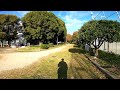 【だけ歩き】西淀川区“西淀公園”