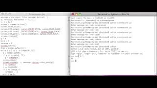 Python Curses Tutorial 9: Combining attributes