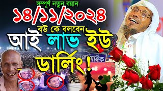 14/11/2024 আই লাভ ইউ ডার্লিং !  afsari waz | rafiqullah afsari waz 2024 | রফিক উল্লাহ আফসারী ওয়াজ