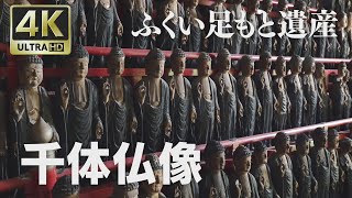 4K映像 ふくい足もと遺産「千体仏像」