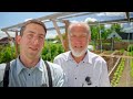 master tomato trellising with a world record grower tips u0026 advice