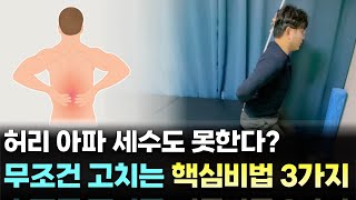 허리 통증 무조건 고치는 핵심 비법 운동 3가지