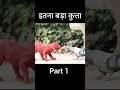 उन्हें लगा कि वे मरने वाले हैं 😱।hollywood movie explained in hindi urdu shorts