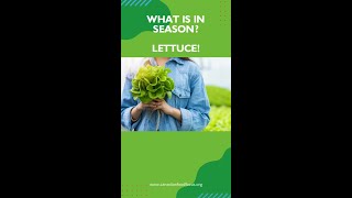 What's in Season? Lettuce