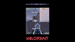 キルジョイのグレは索敵にも使えるんやで！！【VALORANT】#VALORANT #ヴァロラント #shorts