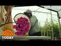 Business Is Blooming For Valentine’s Day Flowers Amid Pandemic | TODAY