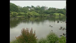 Forrest Archives: Suizenji park, Kumamoto　水前寺公園、熊本県