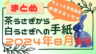 【まとめ】茶うさぎから白うさぎへの手紙 2024年8月後半