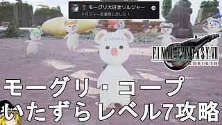 【FF7 リバース】モーグリ・コープ いたずらレベル7攻略法解説！1～6もこれでいける！FINAL FANTASY VII REBIRTH Moogle Coop Level 7【ネタバレあり】