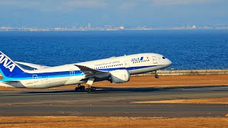 ＃542 中部国際空港 ANA 飛行訓練機タッチアンドゴー