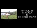 The Humours of Kinvara