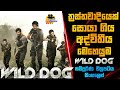 ත්‍රස්තවාදියෙක් සොයා ගිය අද්විතීය මෙහෙයුම | Wild Dog Movie Explained In Sinhala | Sinhalen Baiscope