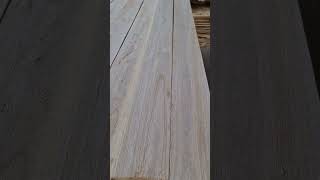 PAULOWNIA WOOD 2024