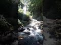 Anna Ruby Falls July 4, 2020