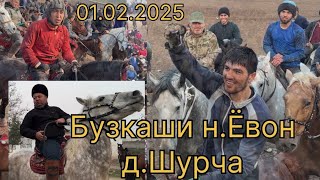 Бузкаши н.Ёвон д.Шурча 01.02.2025 #бузкаши #купкари #улок #laqaynews #rek