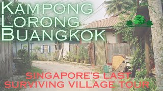 Exploring Kampong Lorong Buangkok: Singapore's Last Surviving Village | Nature Connection