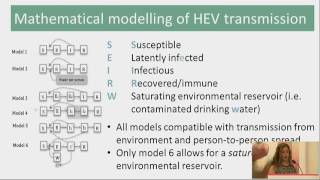 Reactive and pre-emptive vaccination strategies to control Hepatitis E infection