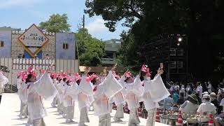 天空しなと屋　吉長演舞【夏つばき】