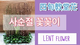 【경주꽃집초아꽃choaflower】 살구나무와 자두나무로 #사순절꽃꽂이 | LENT flower arrangement | 四旬期教堂花