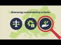 bioenergy sustainability bioenergy explained