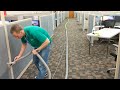 cubicle cleaning