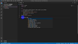 Python Socket Programming-Write Your First Socket Program using Python socket module