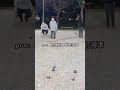 petanque 動作做完整 把身體協調性打出來 練球就會水到渠成喔