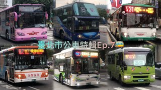 臺北市公車特輯Ep.7🚌